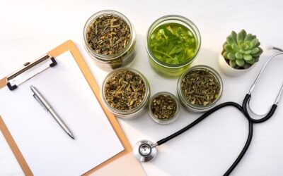 Quels sont les grossiste de CBD en France ?